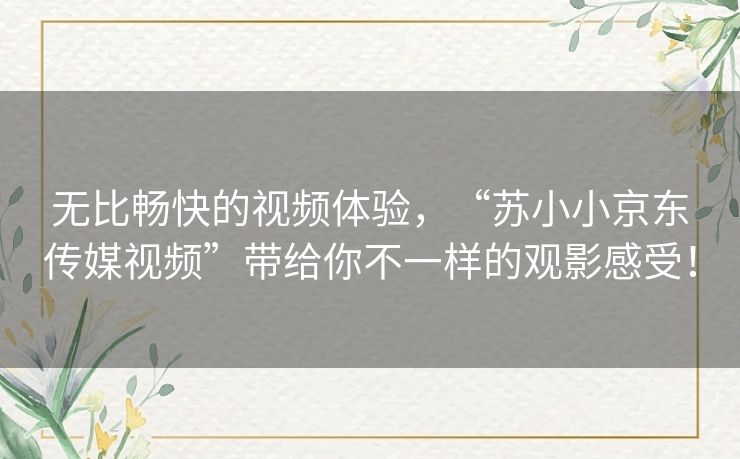 无比畅快的视频体验，“苏小小京东传媒视频”带给你不一样的观影感受！