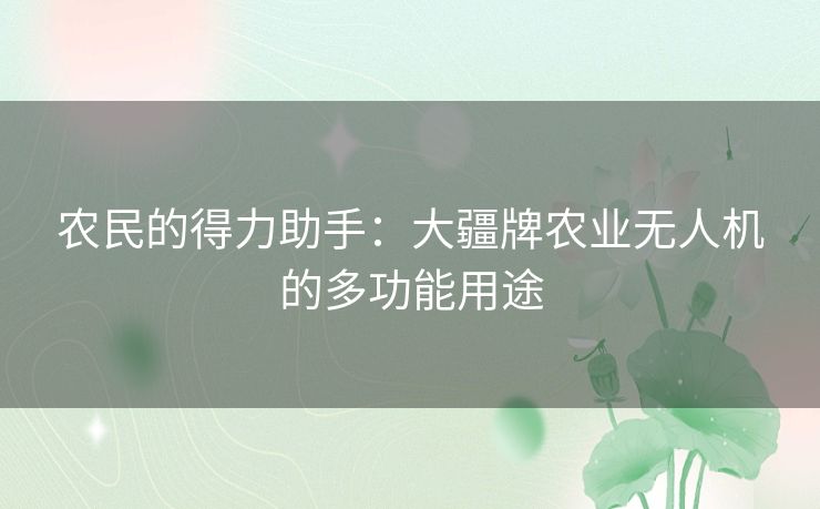 农民的得力助手：大疆牌农业无人机的多功能用途