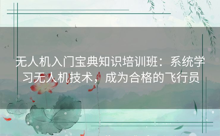 无人机入门宝典知识培训班：系统学习无人机技术，成为合格的飞行员