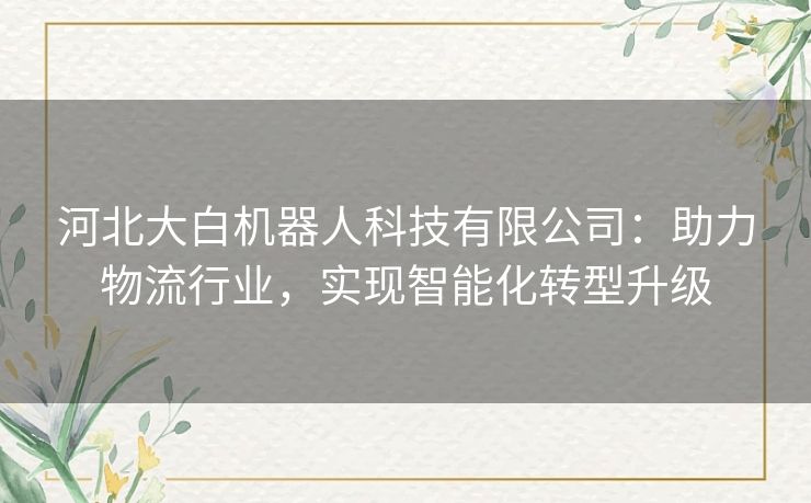 河北大白机器人科技有限公司：助力物流行业，实现智能化转型升级
