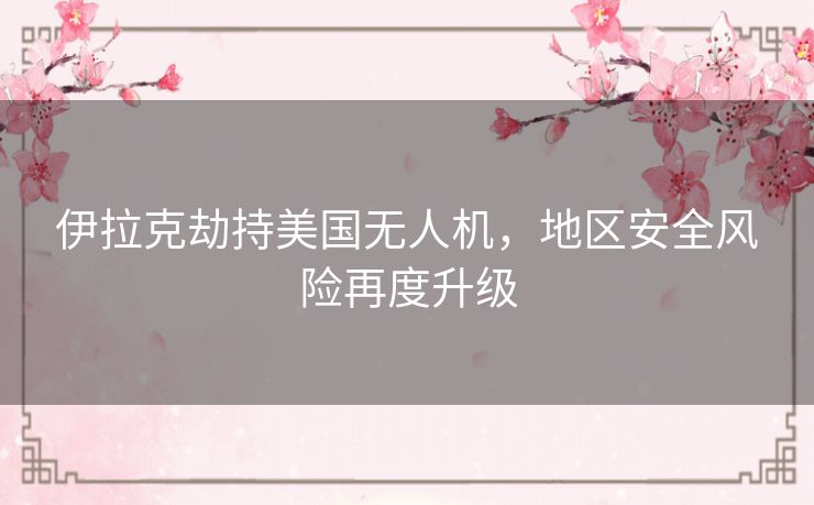 伊拉克劫持美国无人机，地区安全风险再度升级