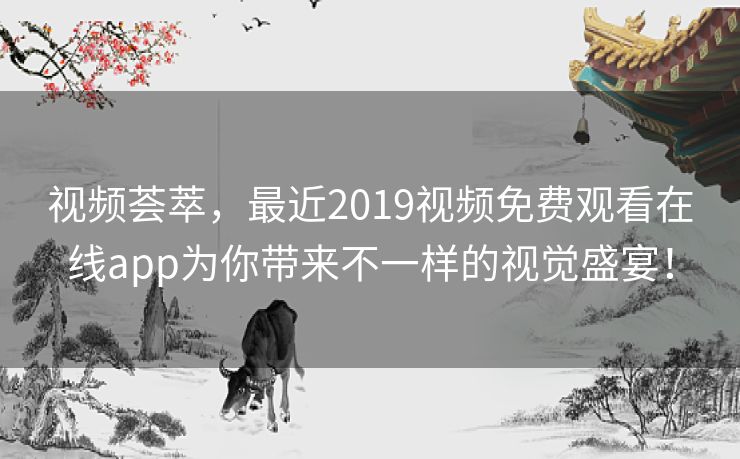 视频荟萃，最近2019视频免费观看在线app为你带来不一样的视觉盛宴！