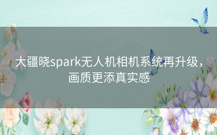 大疆晓spark无人机相机系统再升级，画质更添真实感