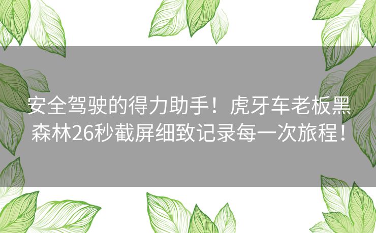安全驾驶的得力助手！虎牙车老板黑森林26秒截屏细致记录每一次旅程！