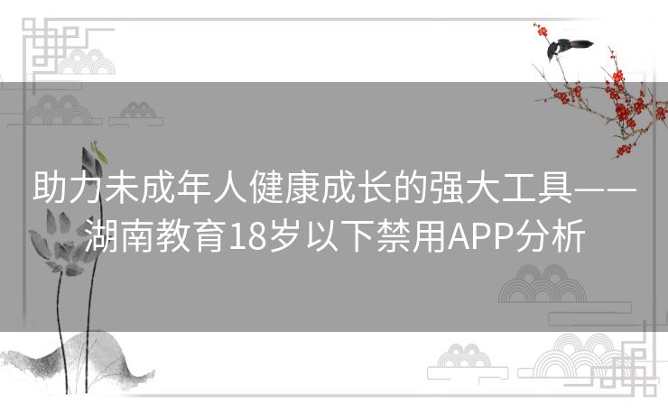 助力未成年人健康成长的强大工具——湖南教育18岁以下禁用APP分析