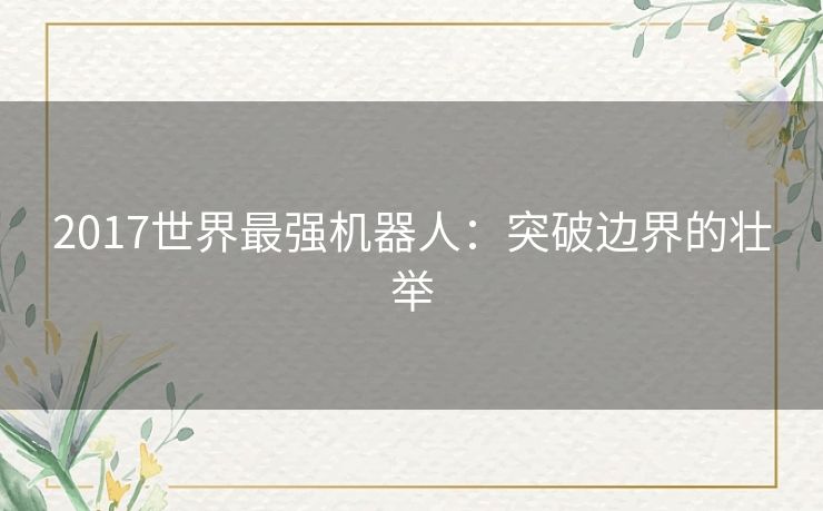 2017世界最强机器人：突破边界的壮举
