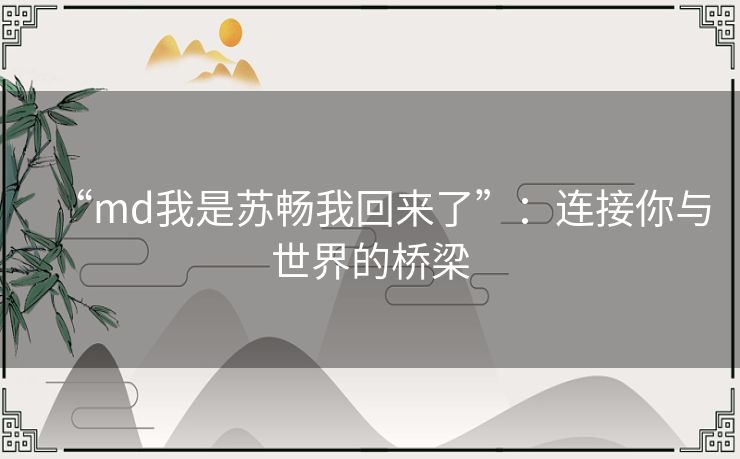 “md我是苏畅我回来了”：连接你与世界的桥梁