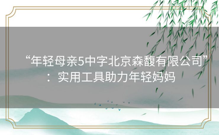 “年轻母亲5中字北京森馥有限公司”：实用工具助力年轻妈妈