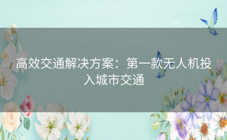 高效交通解决方案：第一款无人机投入城市交通