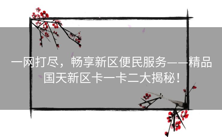 一网打尽，畅享新区便民服务——精品国天新区卡一卡二大揭秘！
