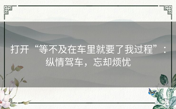 打开“等不及在车里就要了我过程”：纵情驾车，忘却烦忧