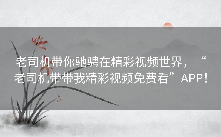 老司机带你驰骋在精彩视频世界，“老司机带带我精彩视频免费看”APP！