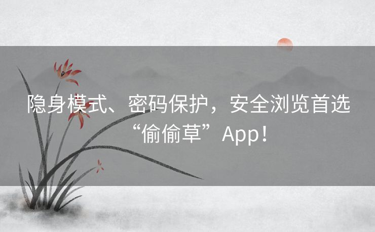 隐身模式、密码保护，安全浏览首选“偷偷草”App！