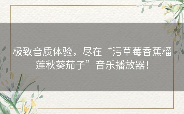 极致音质体验，尽在“污草莓香蕉榴莲秋葵茄子”音乐播放器！