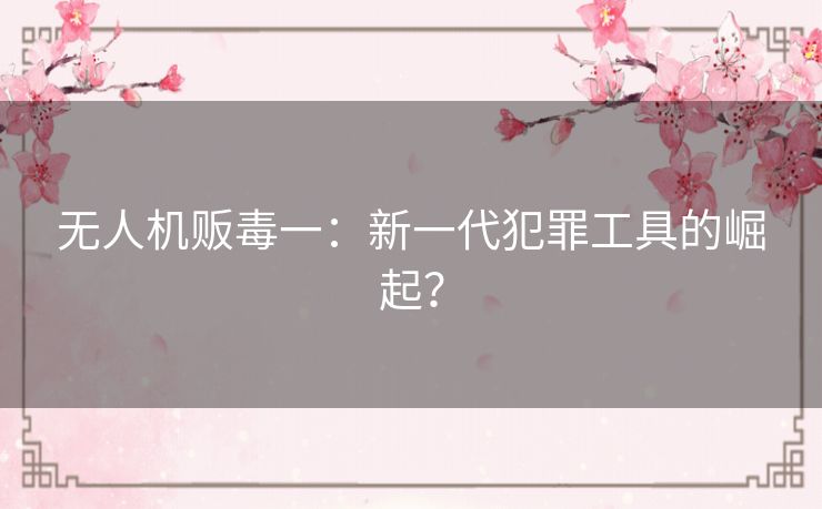 无人机贩毒一：新一代犯罪工具的崛起？