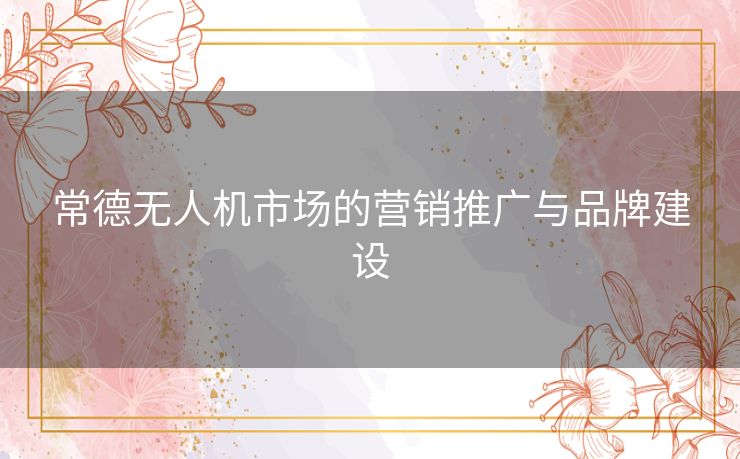 常德无人机市场的营销推广与品牌建设 常德无人机市场的营销推广与品牌建设