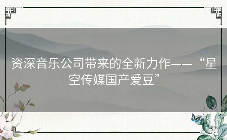 资深音乐公司带来的全新力作——“星空传媒国产爱豆”