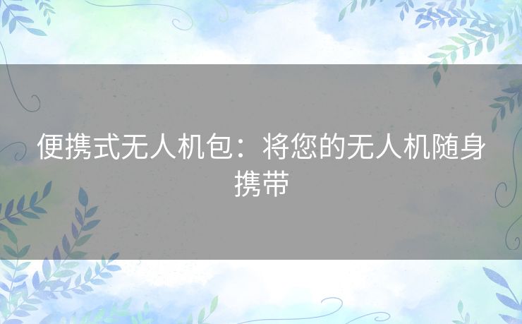 便携式无人机包：将您的无人机随身携带
