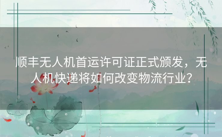 顺丰无人机首运许可证正式颁发，无人机快递将如何改变物流行业？