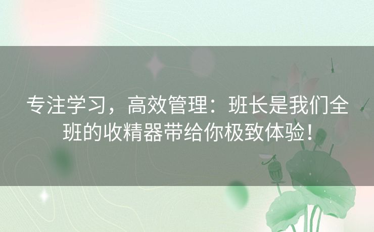专注学习，高效管理：班长是我们全班的收精器带给你极致体验！