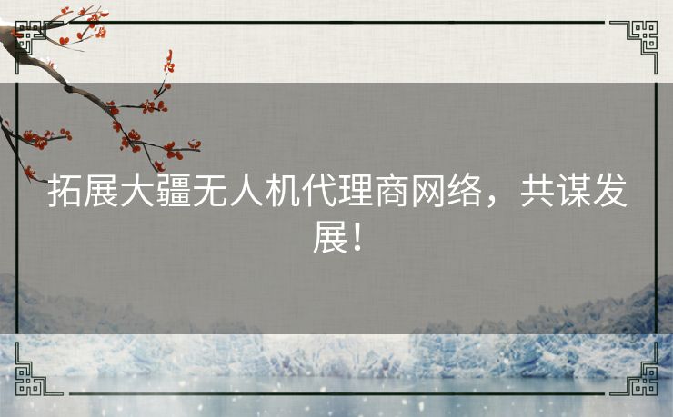 拓展大疆无人机代理商网络，共谋发展！