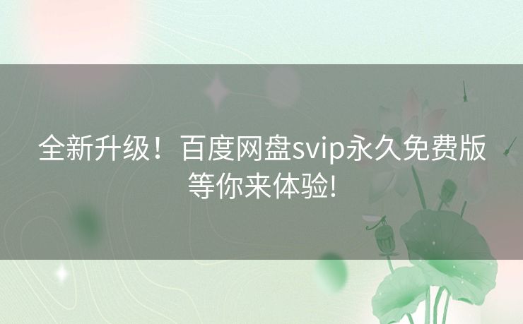 全新升级！百度网盘svip永久免费版等你来体验!