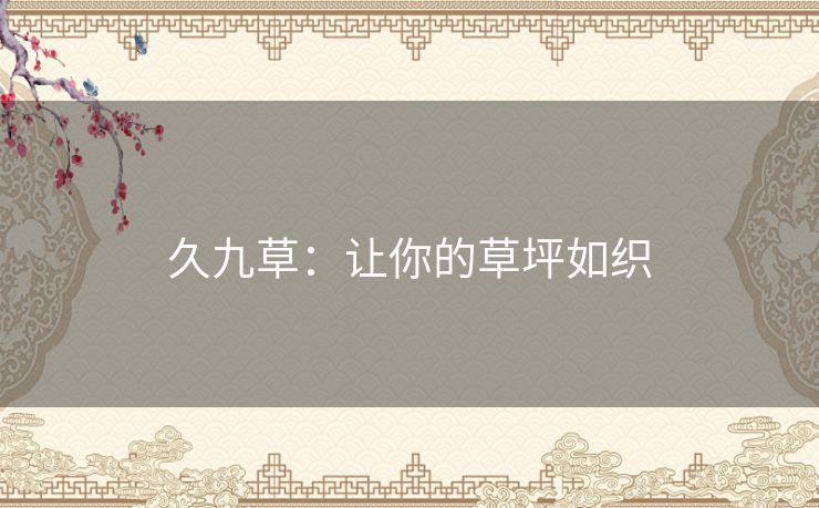 久九草：让你的草坪如织